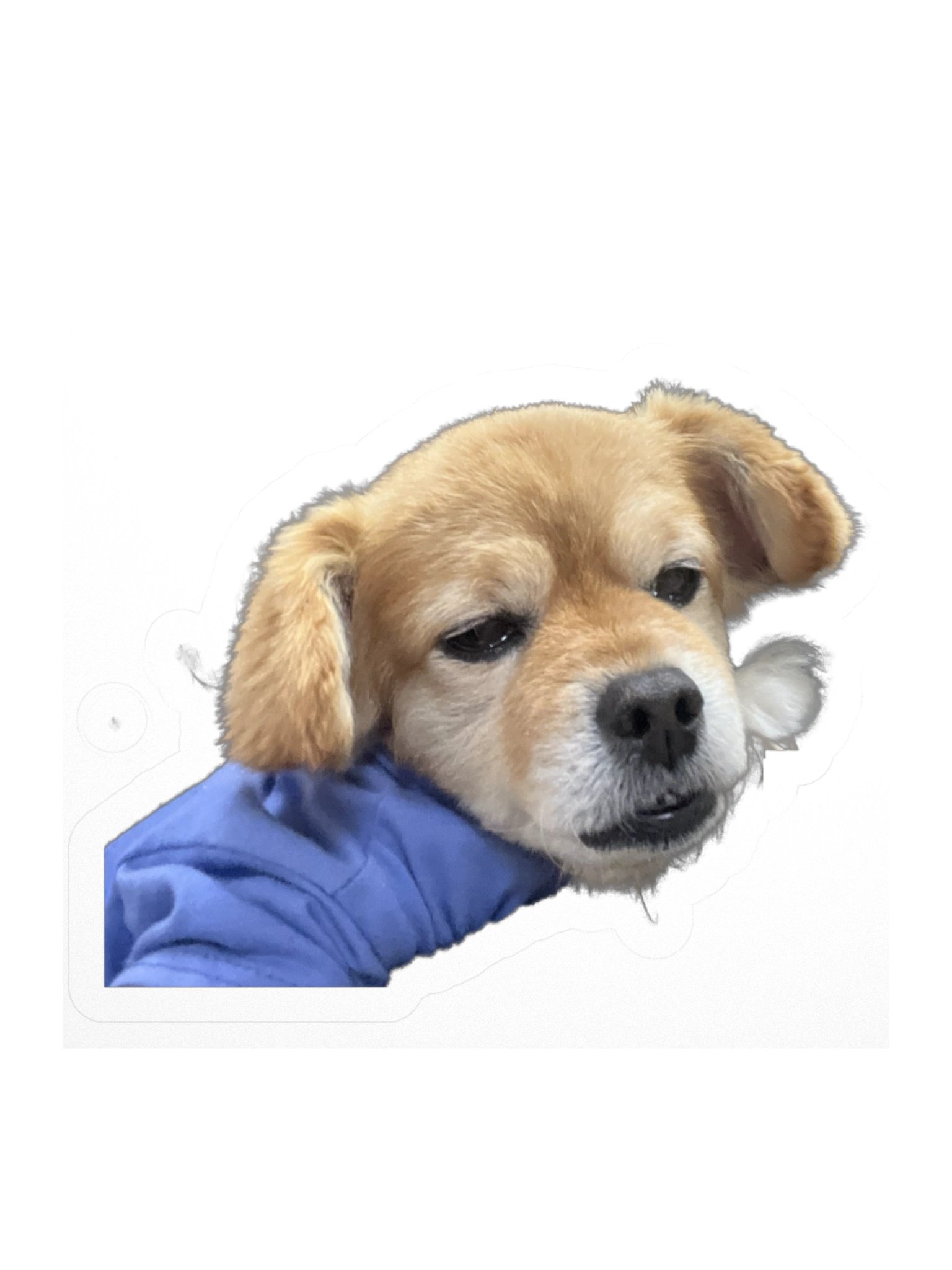 DRUGS product image (3)
