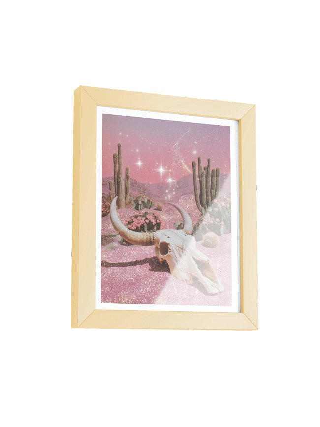 Framed Prints