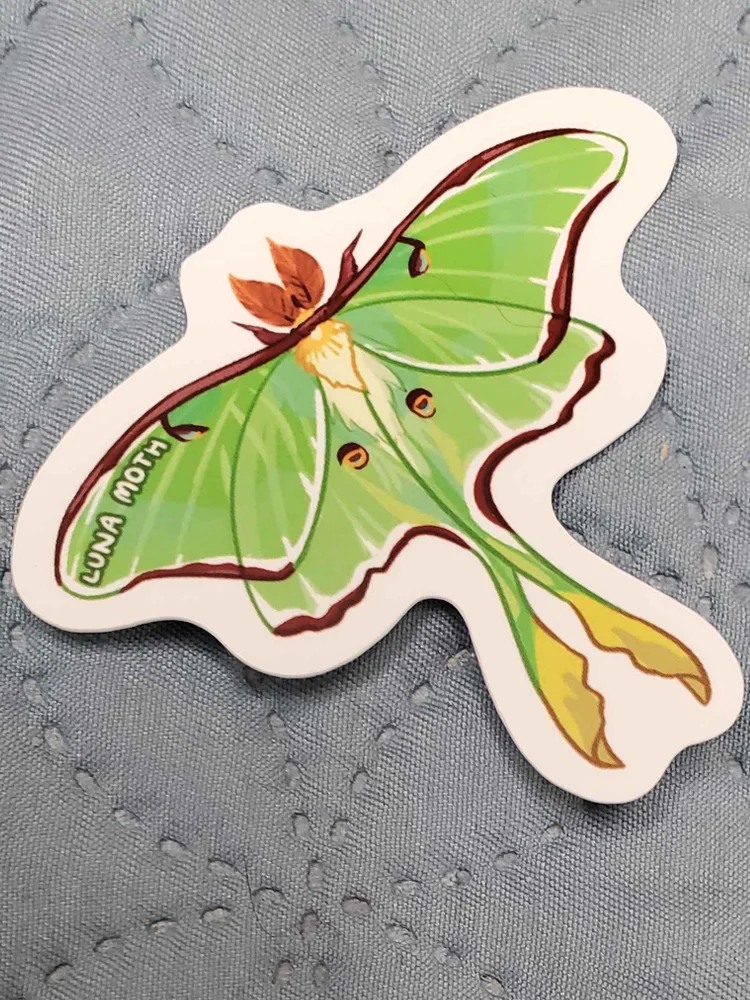 Luna Moth Sticker product image (3)