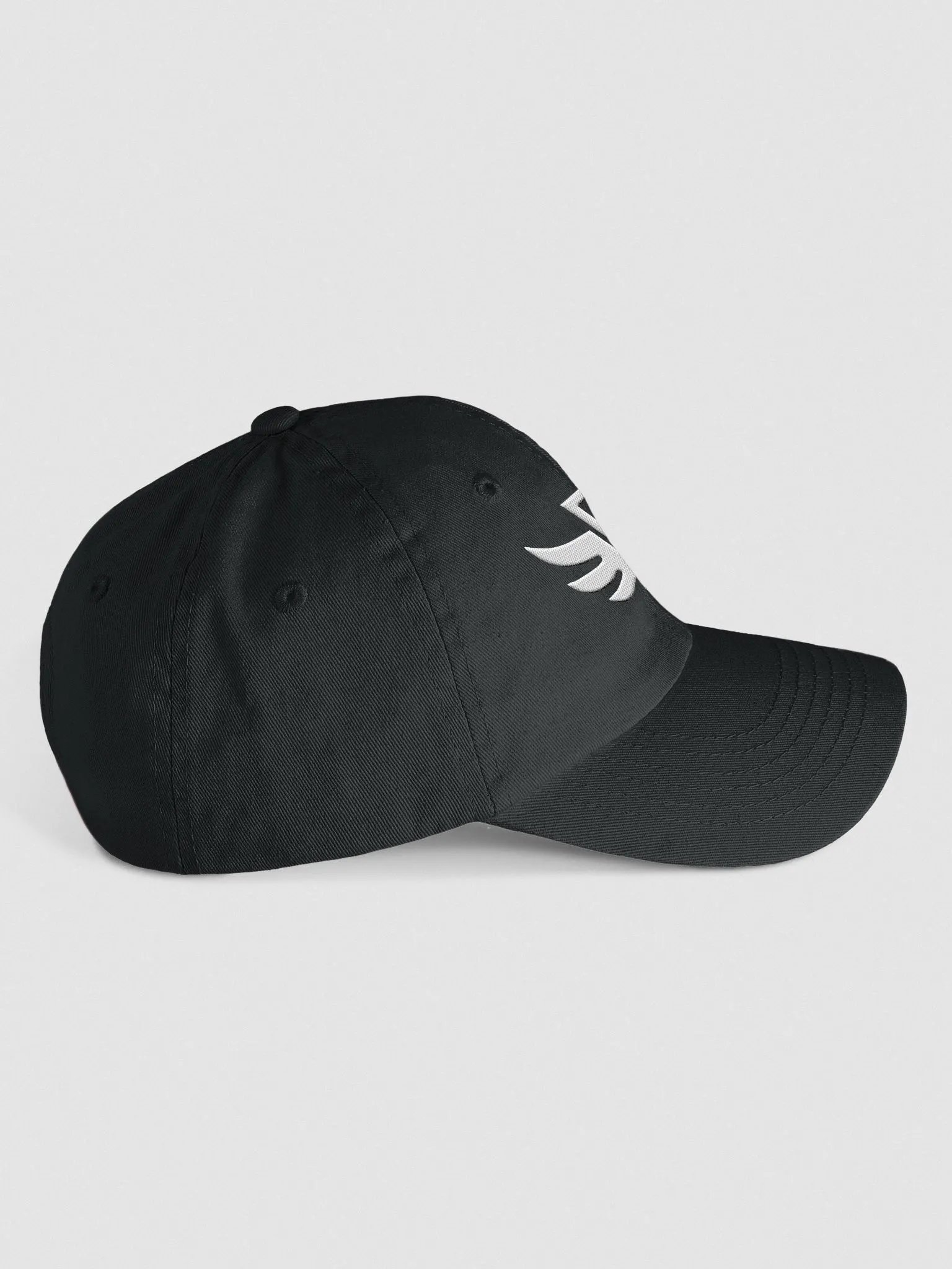 CraytoX Logo Wings Cap - Black product image (4)