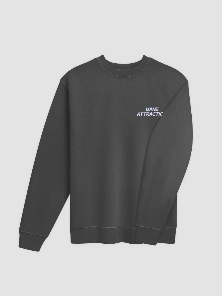 MA Sweatshirt product image (4)