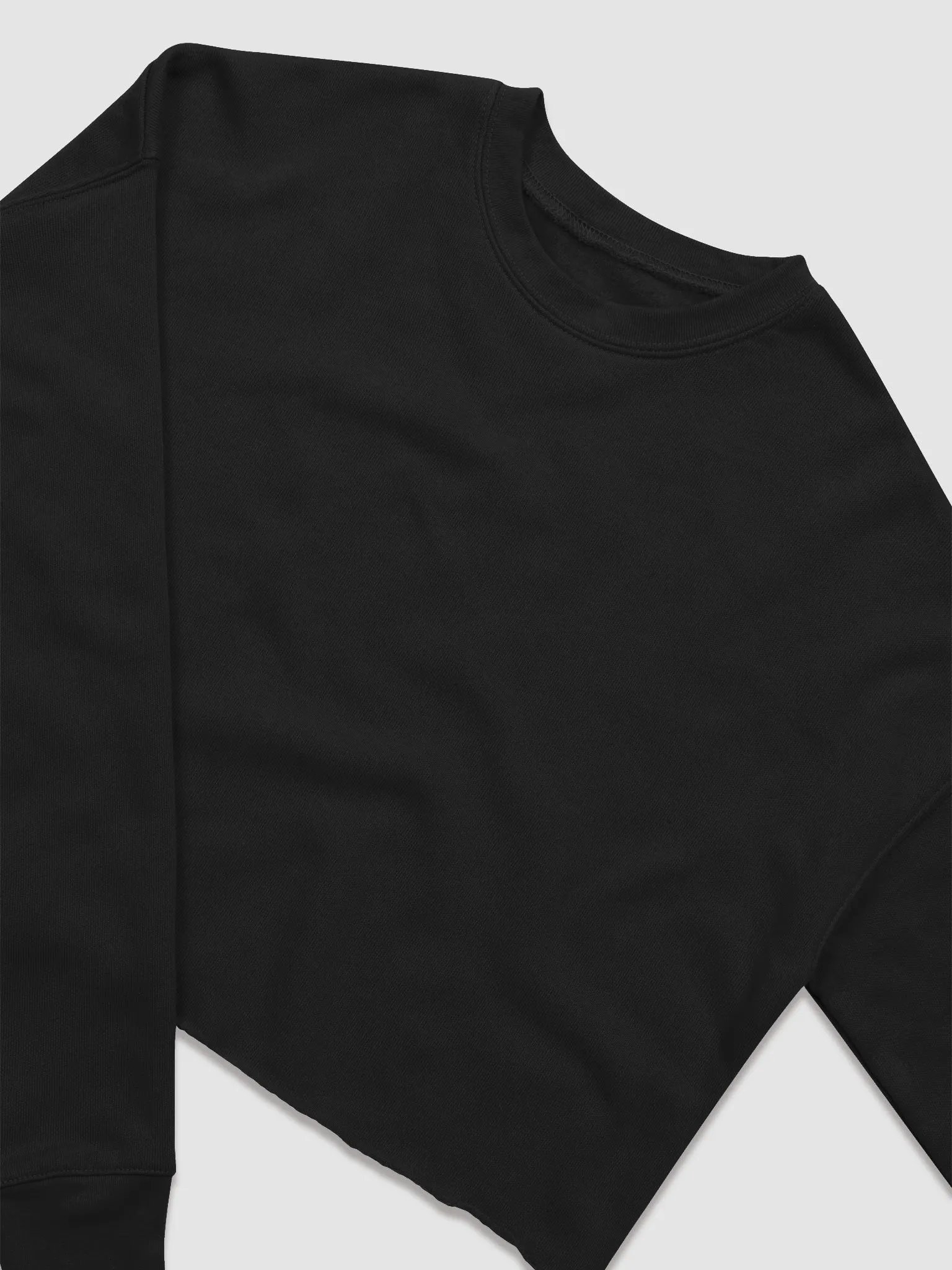 iCJ Crop LongSleeve - Back product image (6)