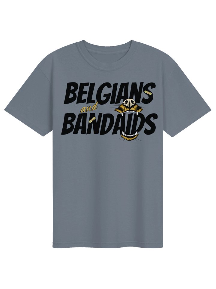 Belgians and Band-Aids product image (7)