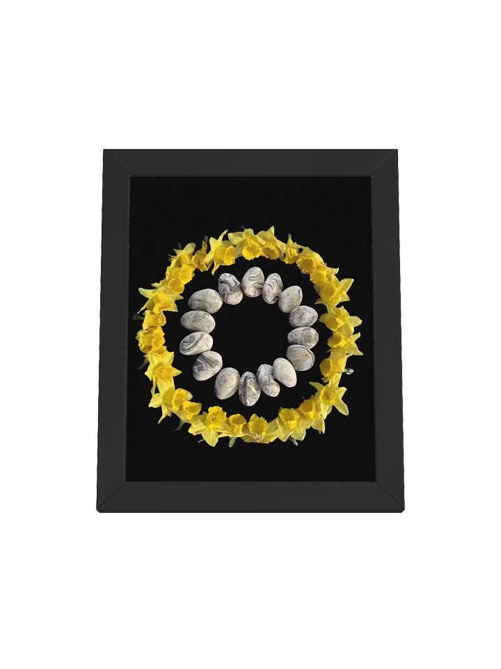 Rock Yellow Blossom product image (5)