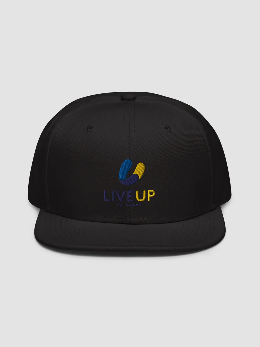 [LiveUp] Snapback - Otto Cap 125-978 product image (1)