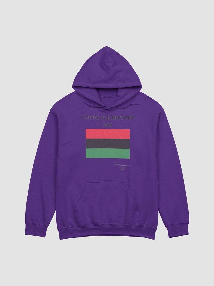 Black history 365 product image (1)
