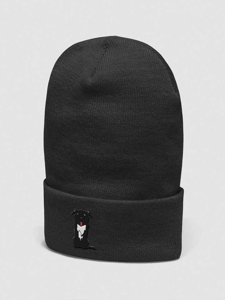 Lily Beanie product image (16)