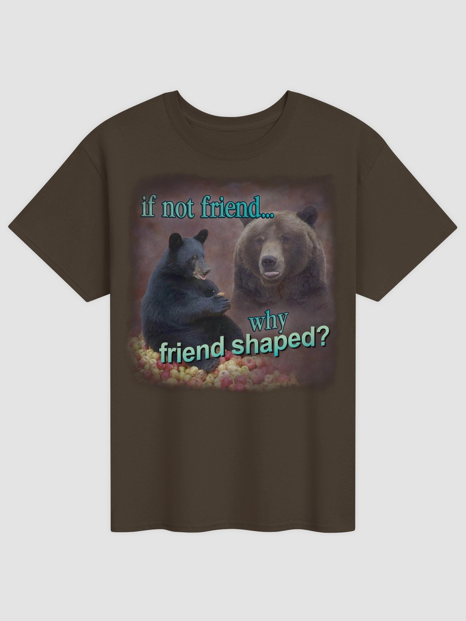 If Not Friend, Why Friend Shaped Bear T-shirt product image (1)