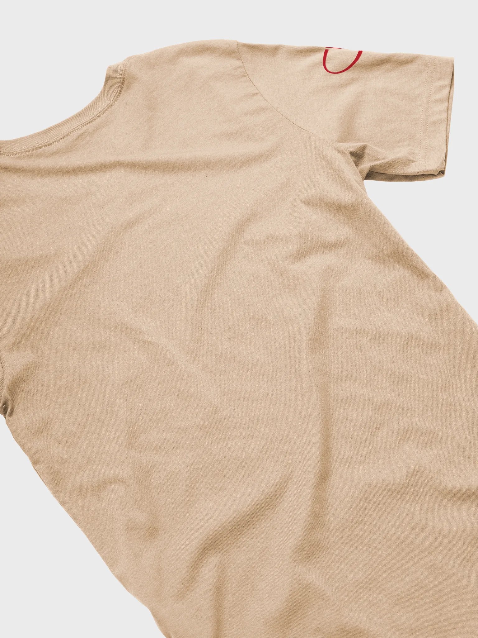 Pleasure is a radical act T-Shirt product image (4)