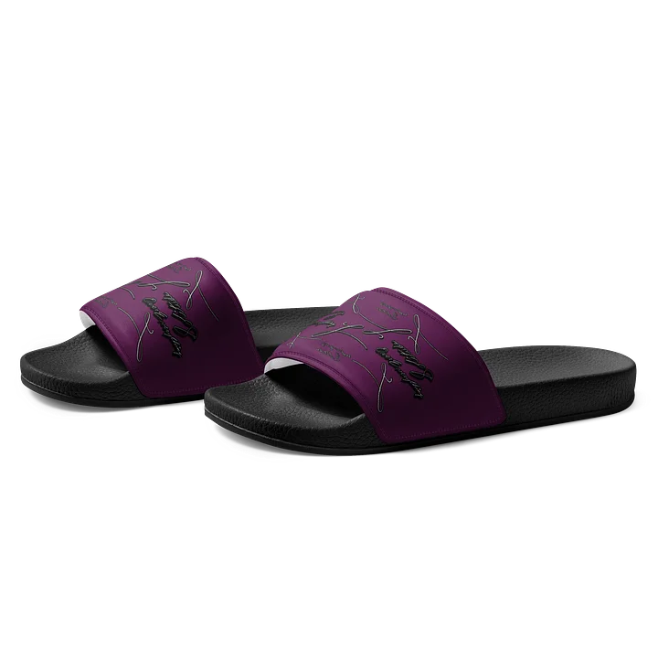 On the Go Til' Purple Companion Slides product image (2)