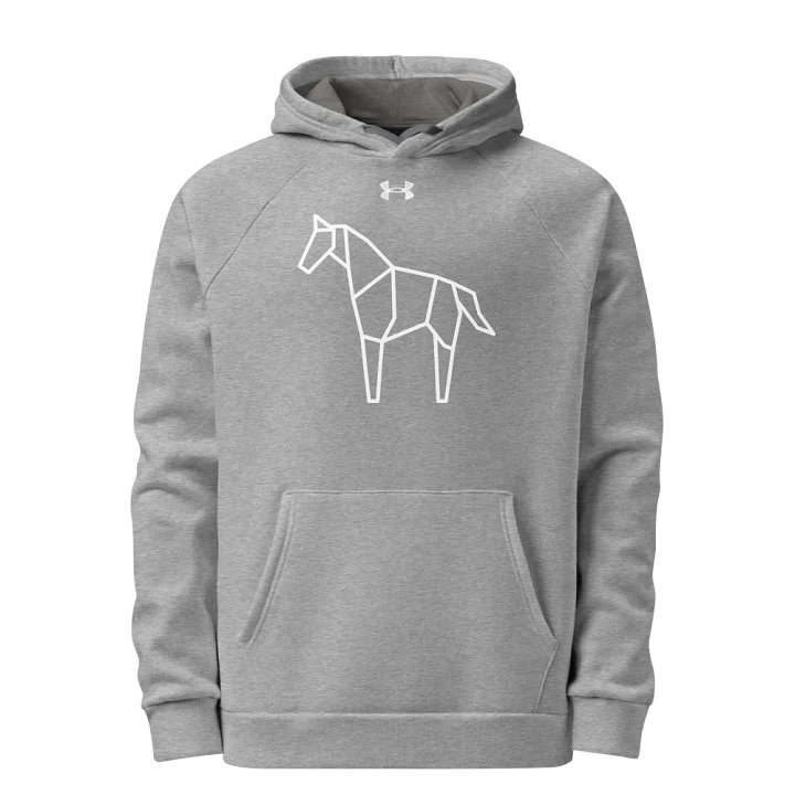 Under Armour® Unisex Hoodie product image (1)