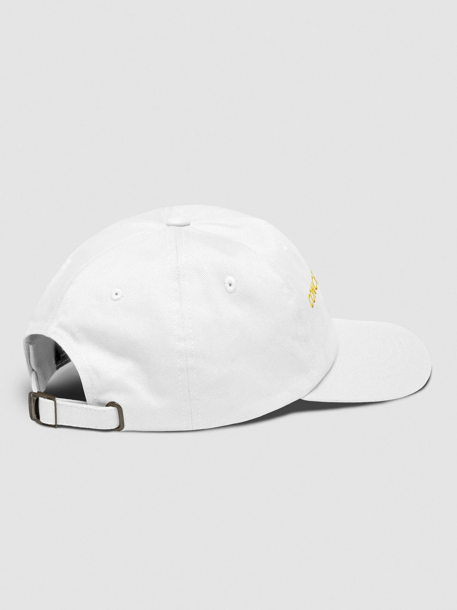 Concert Archives Dad Hat (White) product image (4)
