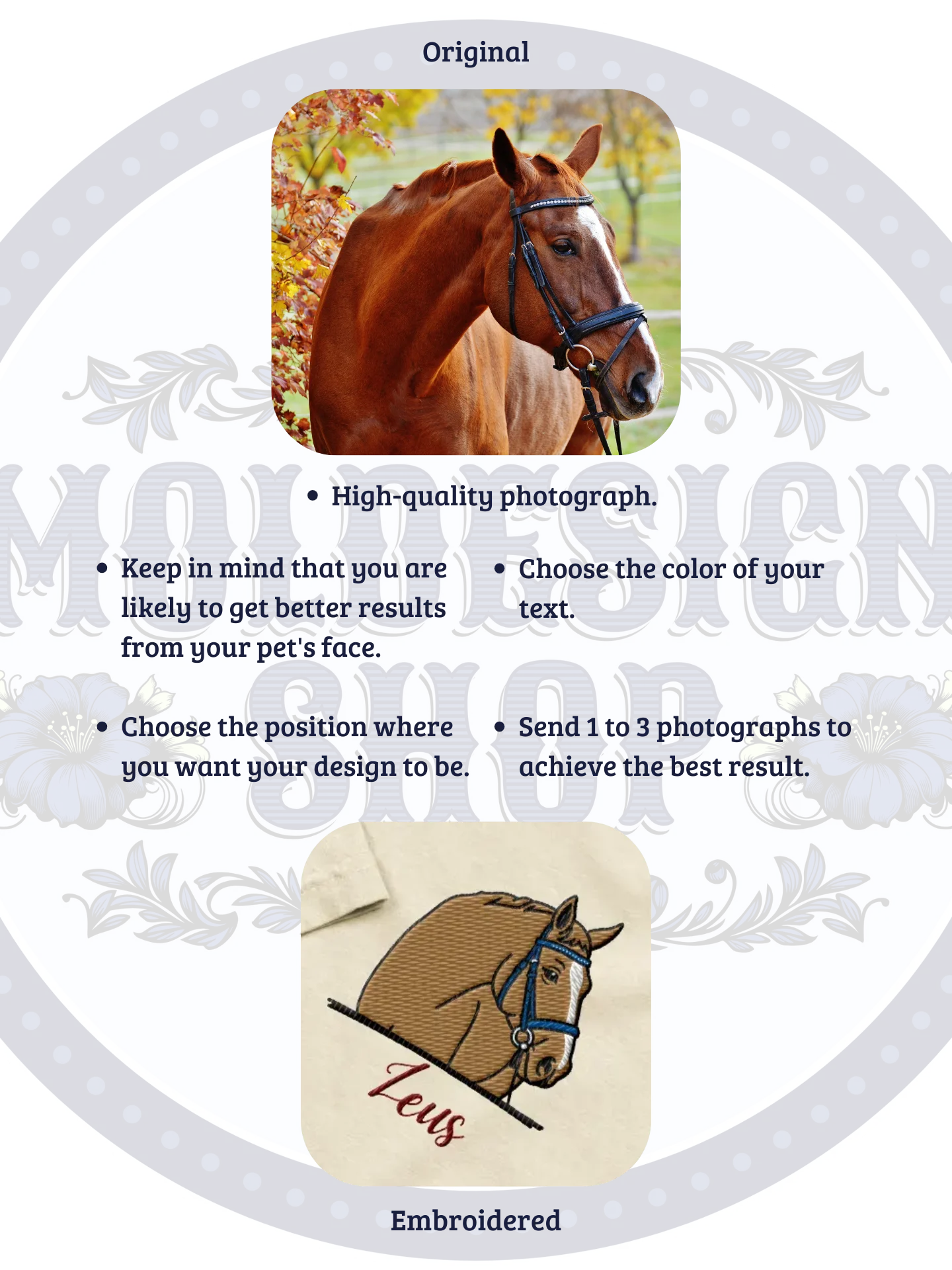 YOUR HORSE / T-SHIRT WITH PERSONALIZED NAME / EMBROIDERED product image (8)