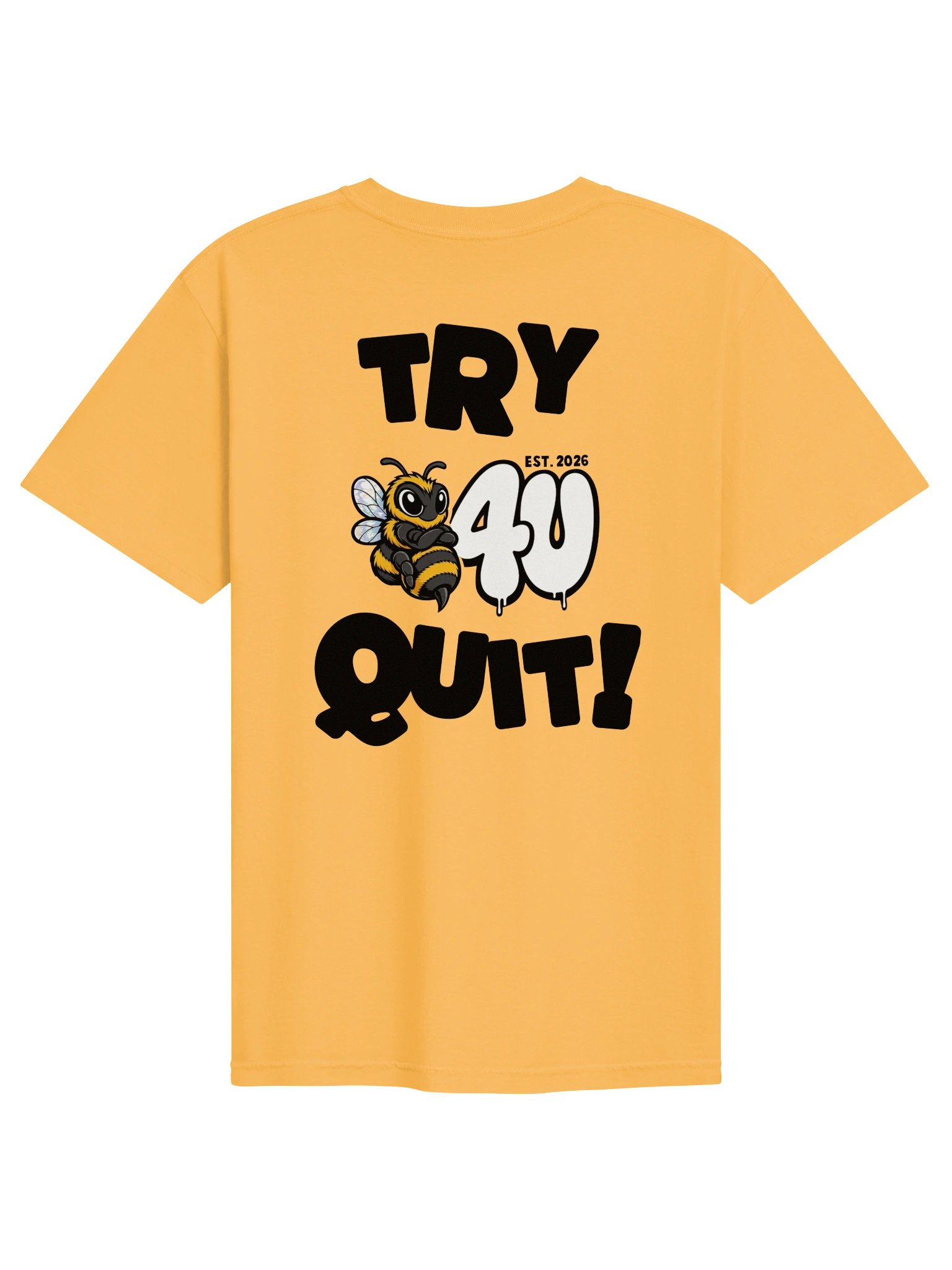 TRY BEFORE YOU QUIT Graphic Tee product image (2)