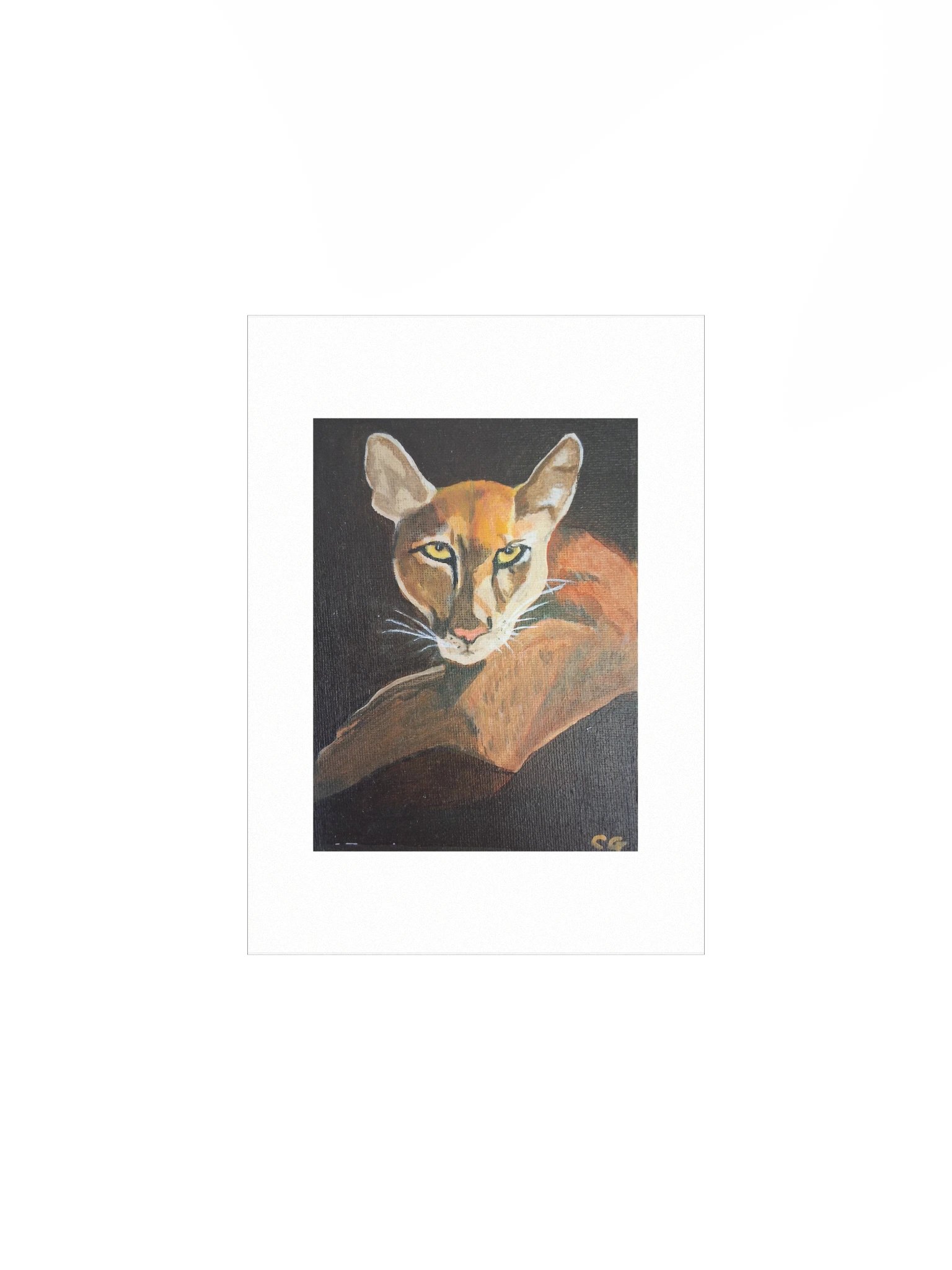 A Serious Puma – Art Print product image (1)