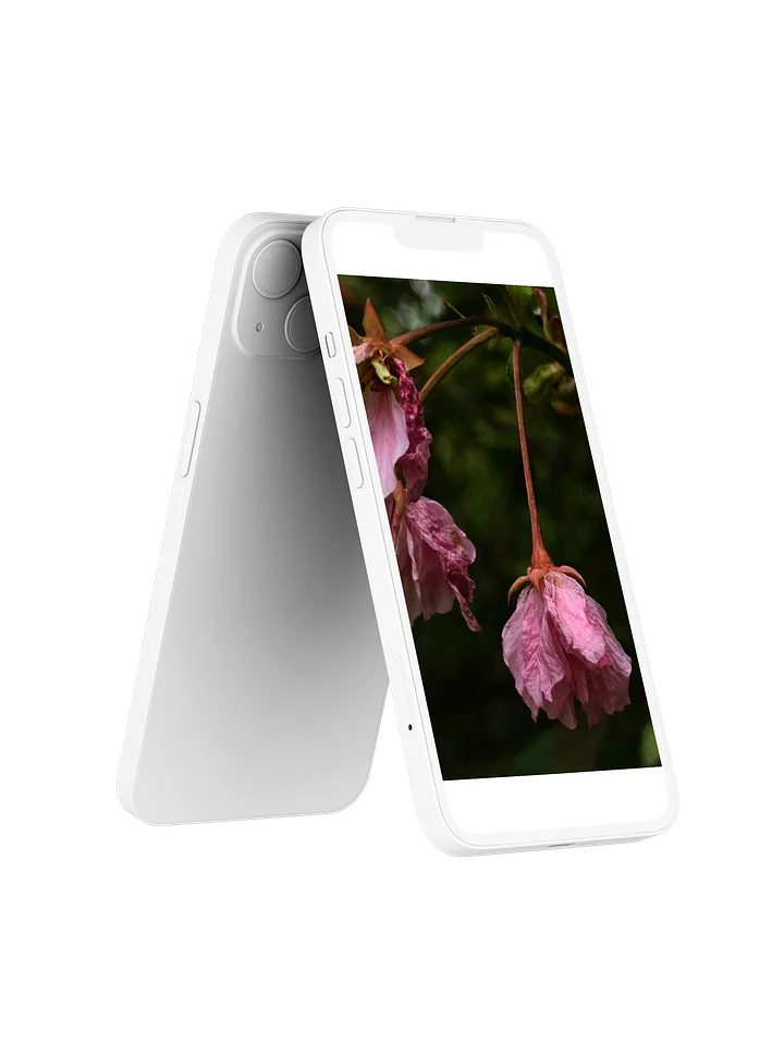 wilted cherry — phone wallpaper | from "holding" | eza product image (2)