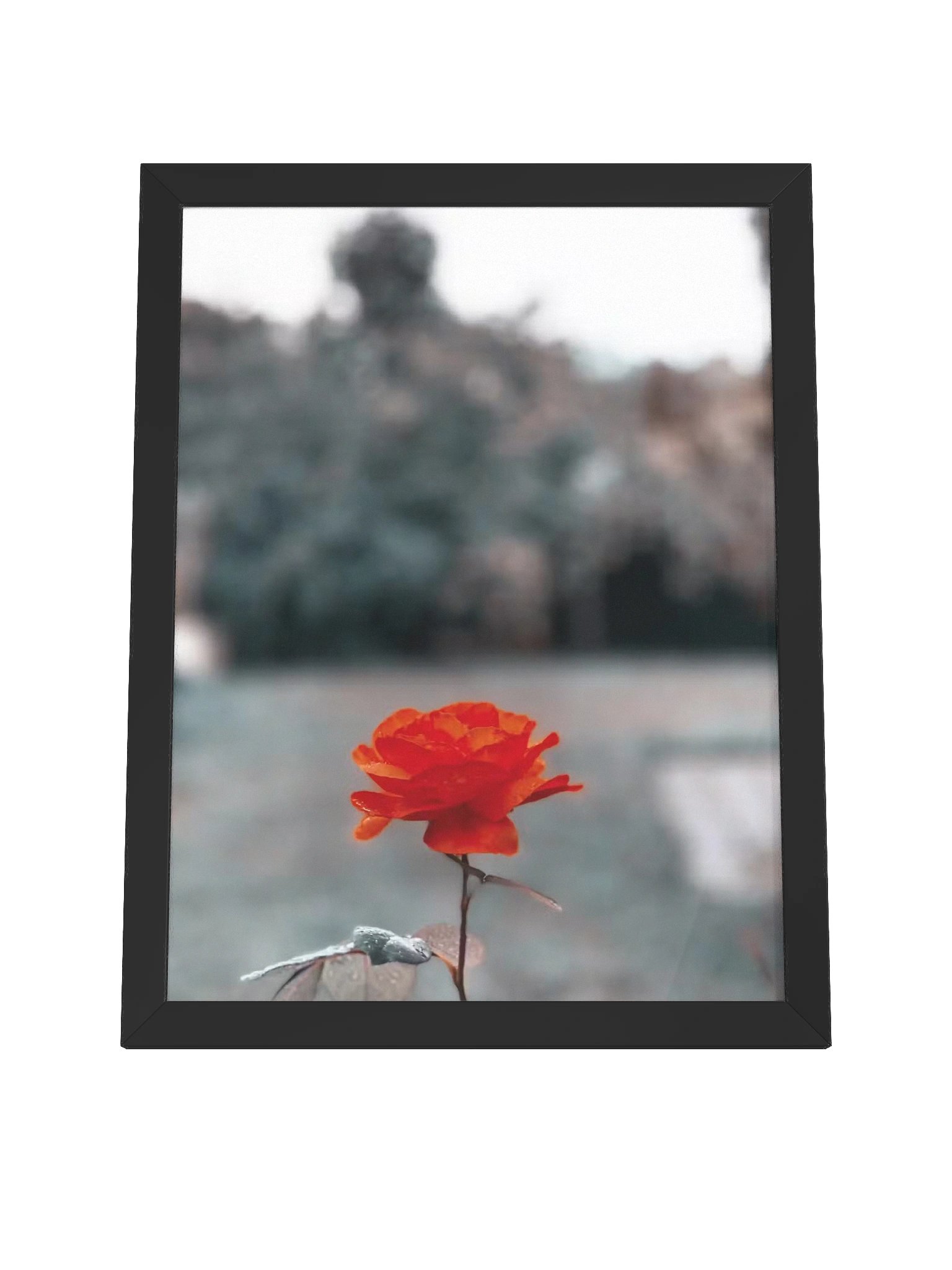 Eternal product image (4)