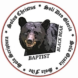 BaptistBlackBear