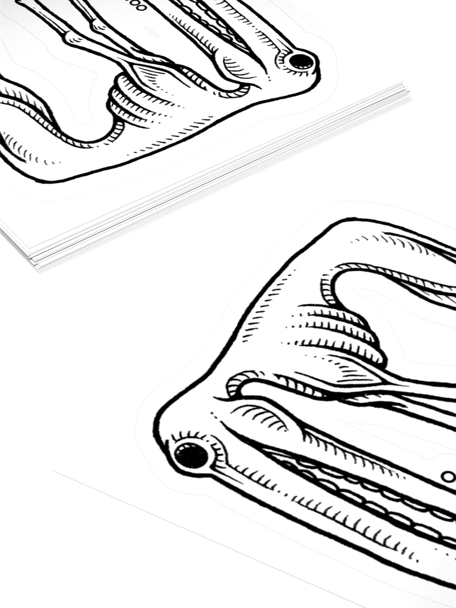 Specimen No. 3 - Longface product image (7)