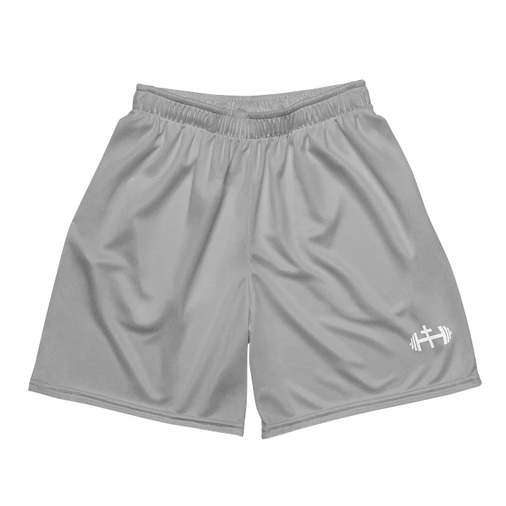 His House Mens Performance Mesh Shorts - Silver product image (2)