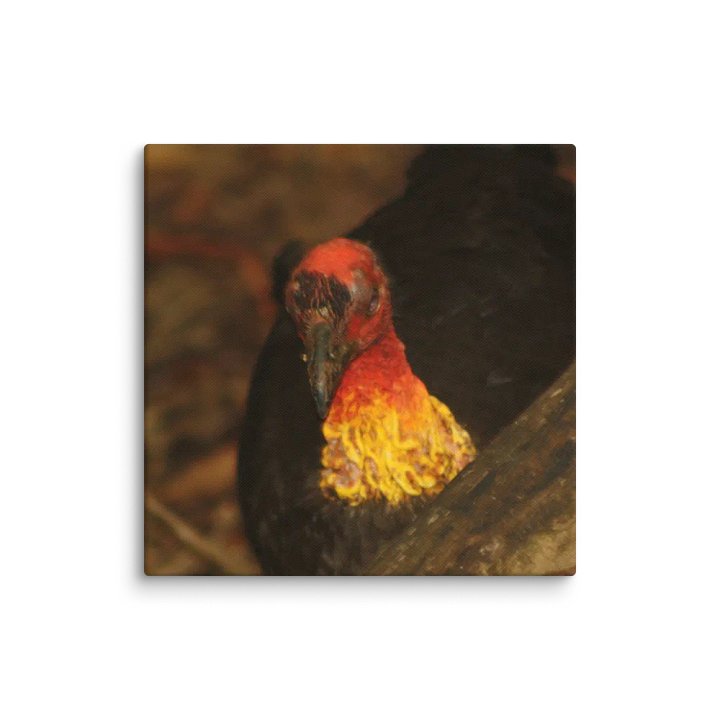 Turkey Canvas product image (2)