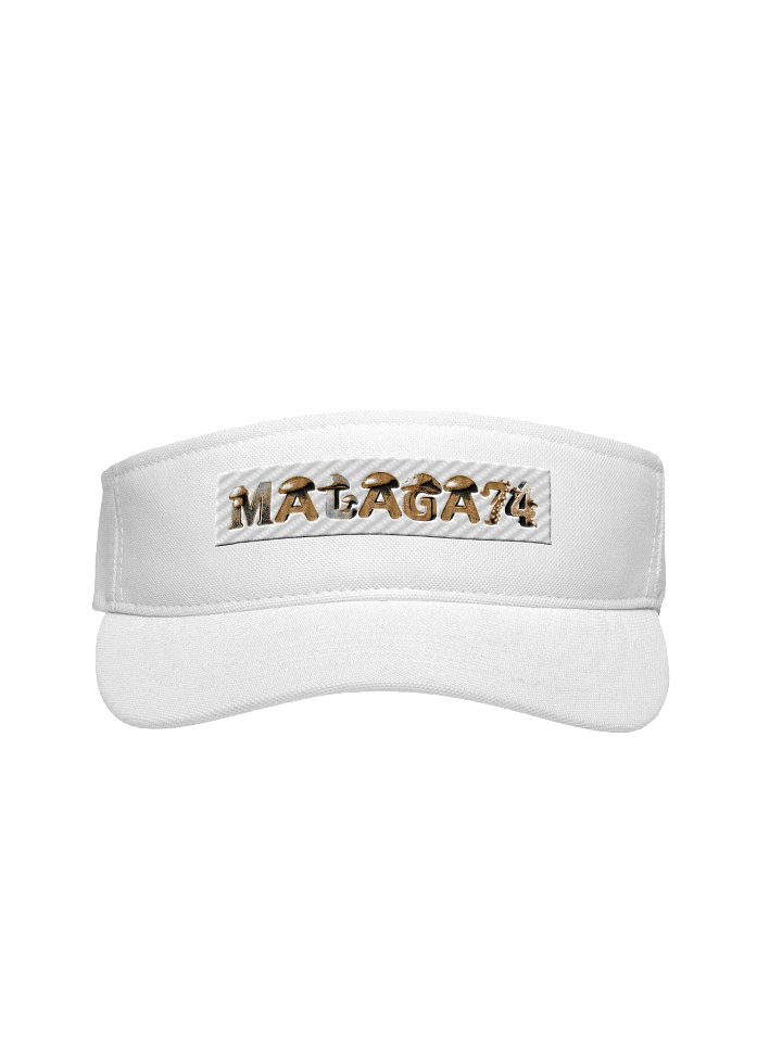 MGK74 Visor product image (2)