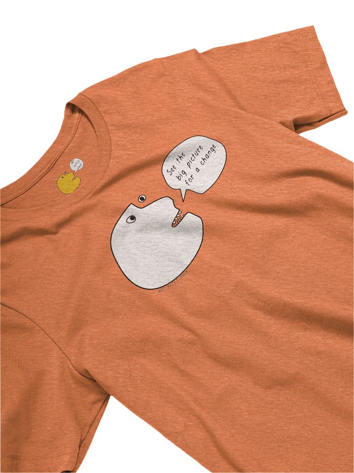 See The Big Picture for a Change. product image (2)