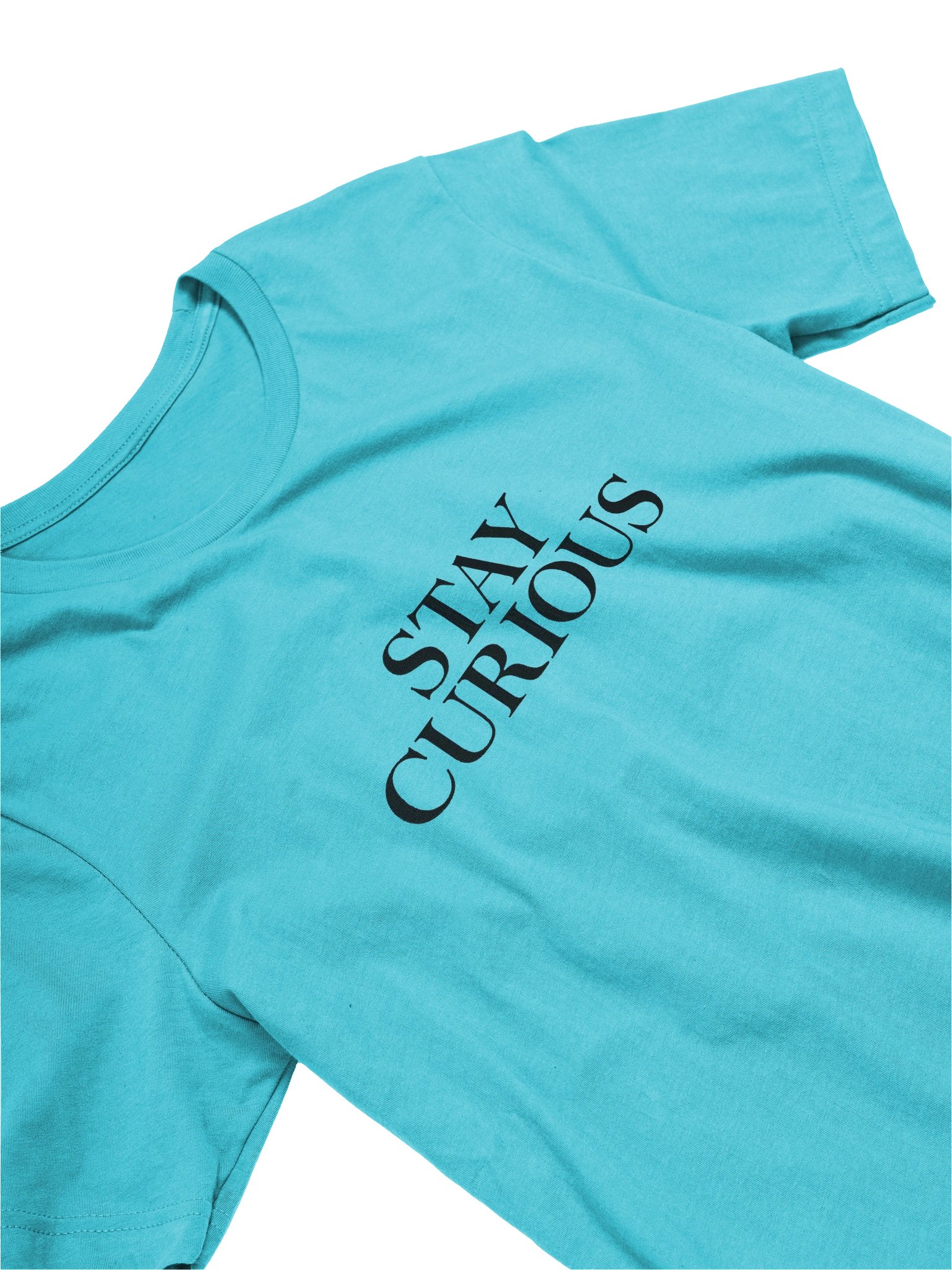 Stay Curious T-Shirt | Motivational Quote Tee | Inspirational Typography Shirt | Bella Canvas 3001 product image (3)