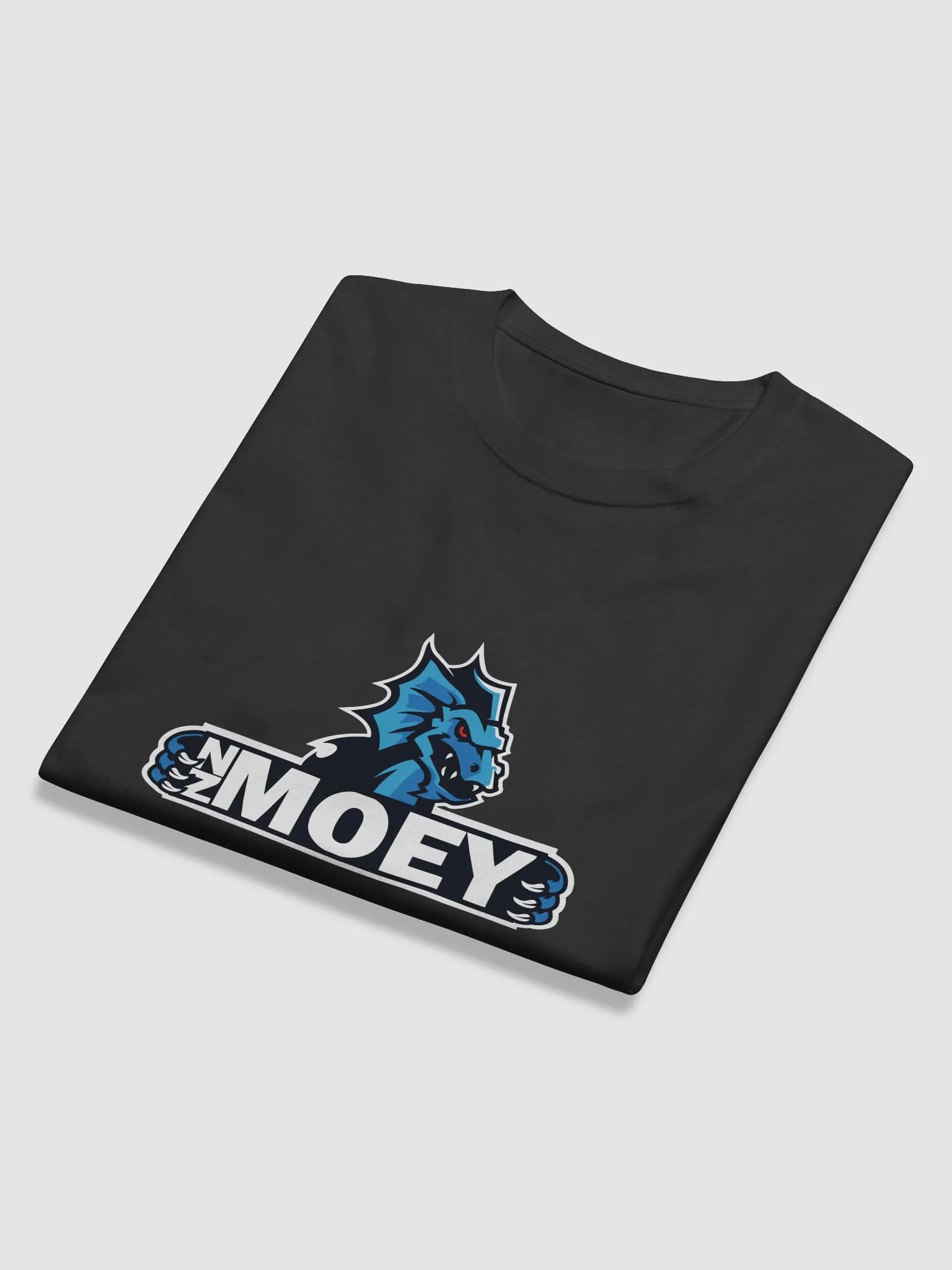 NZMOEY Logo Champion Long Sleeve Shirt product image (11)