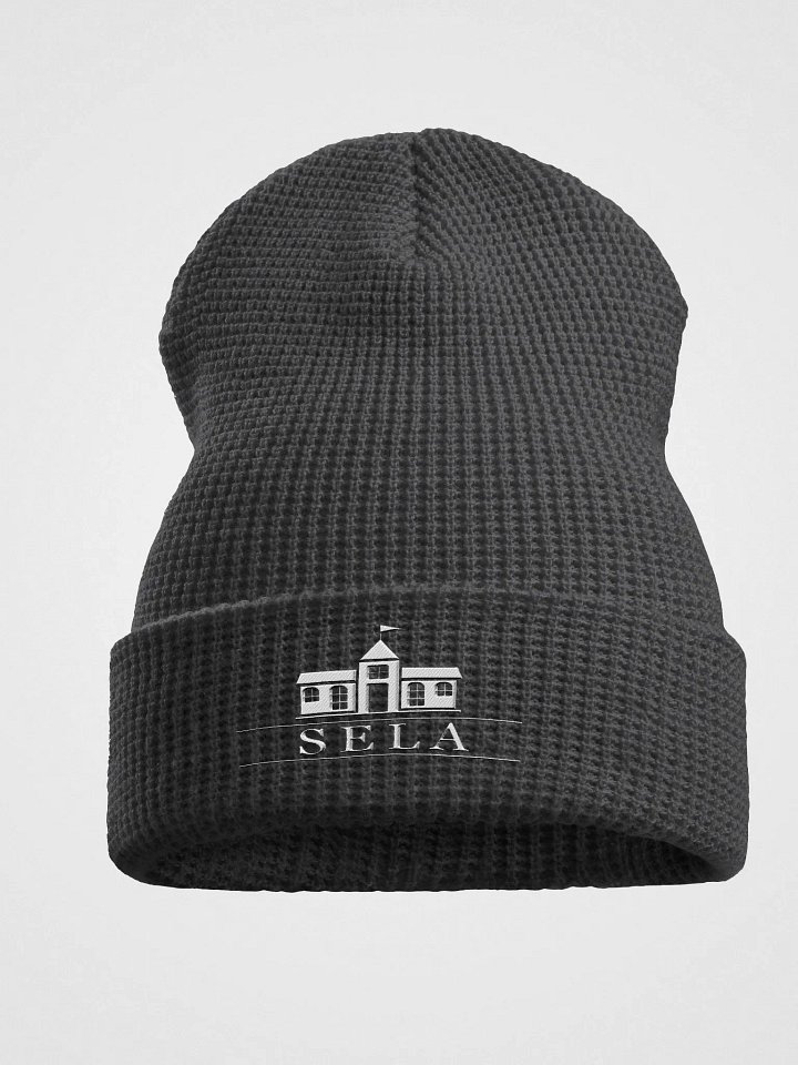 SELA Waffle Cuffed Winter Hat product image (1)