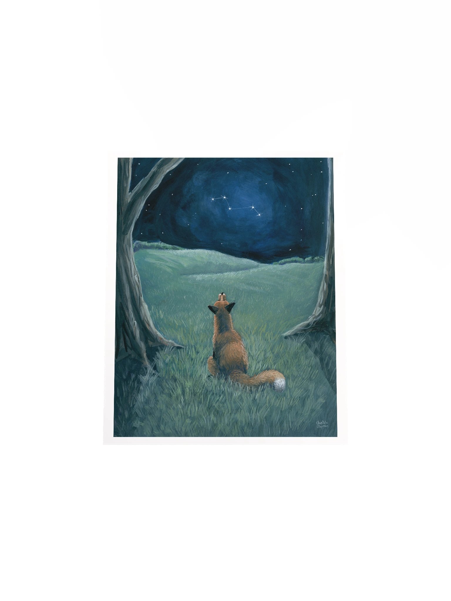 Vulpecula - Art Print product image (5)