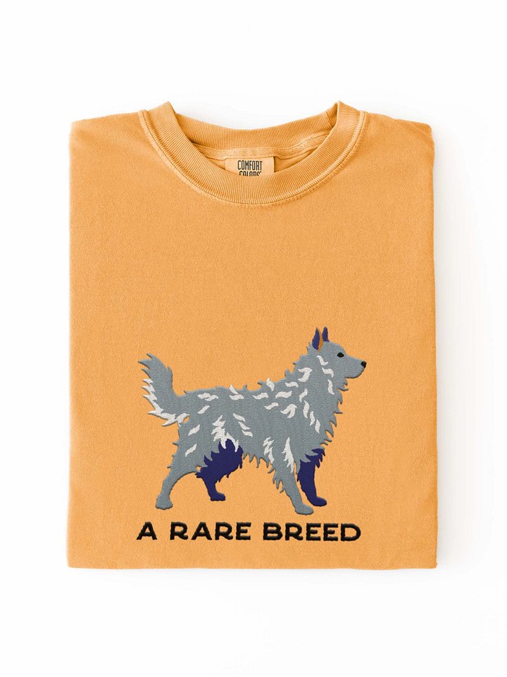 A Rare Breed T-Shirt(Embroidered) of a Hungarian Mudi(Gray) product image (1)