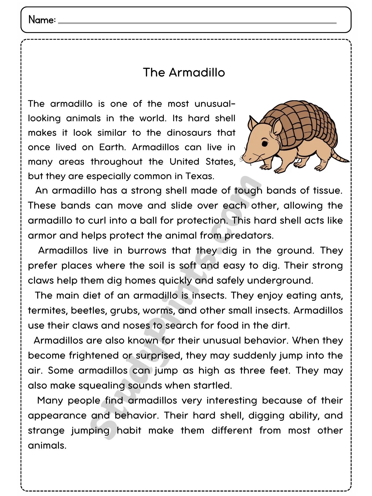 The Armadillo Reading Comprehension Passage and Questions | Printable PDF product image (2)