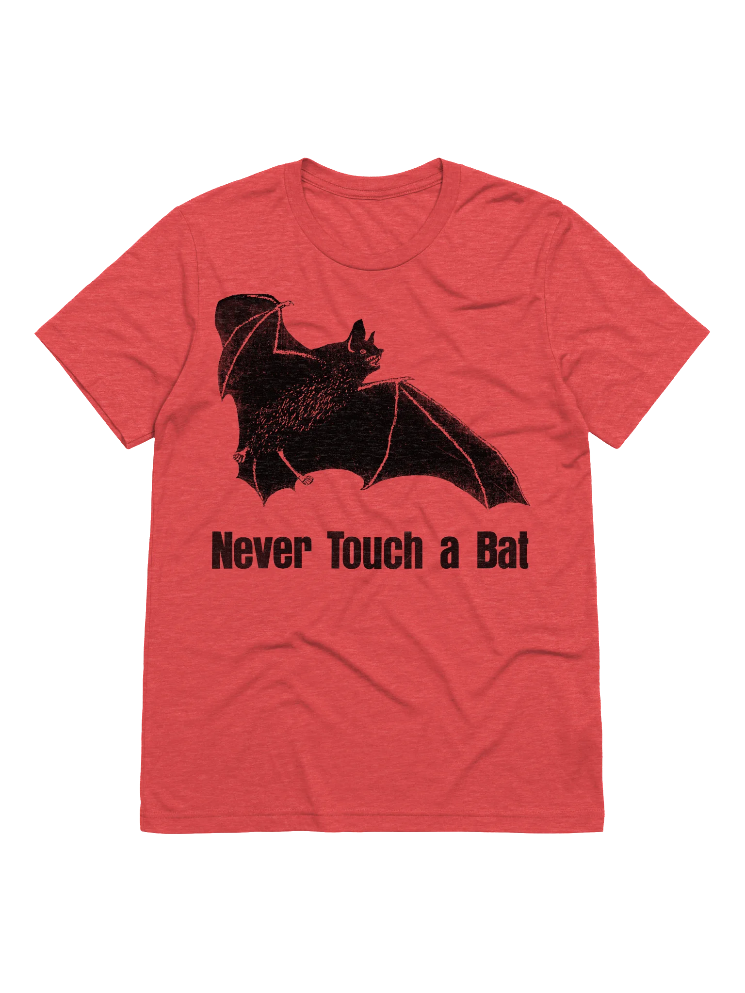 Never Touch a Bat (triblend) product image (1)