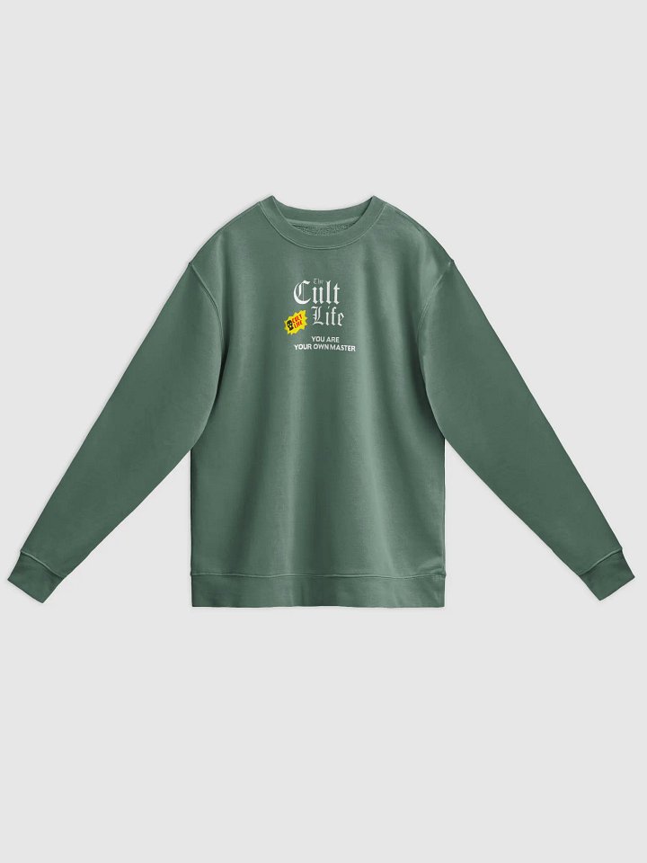 YOU ARE YOUR OWN MASTER SWEATSHIRT product image (3)