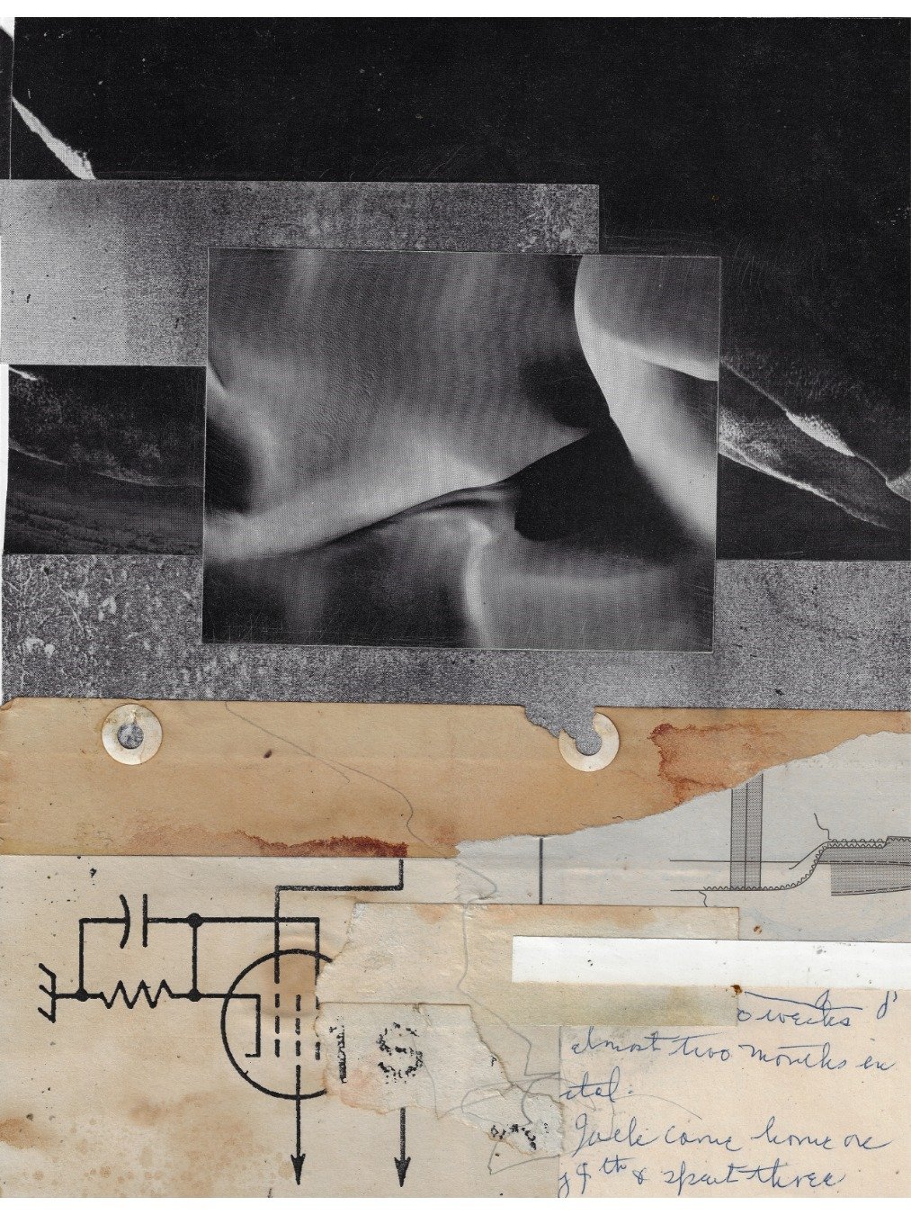 self-organizing systems product image (1)