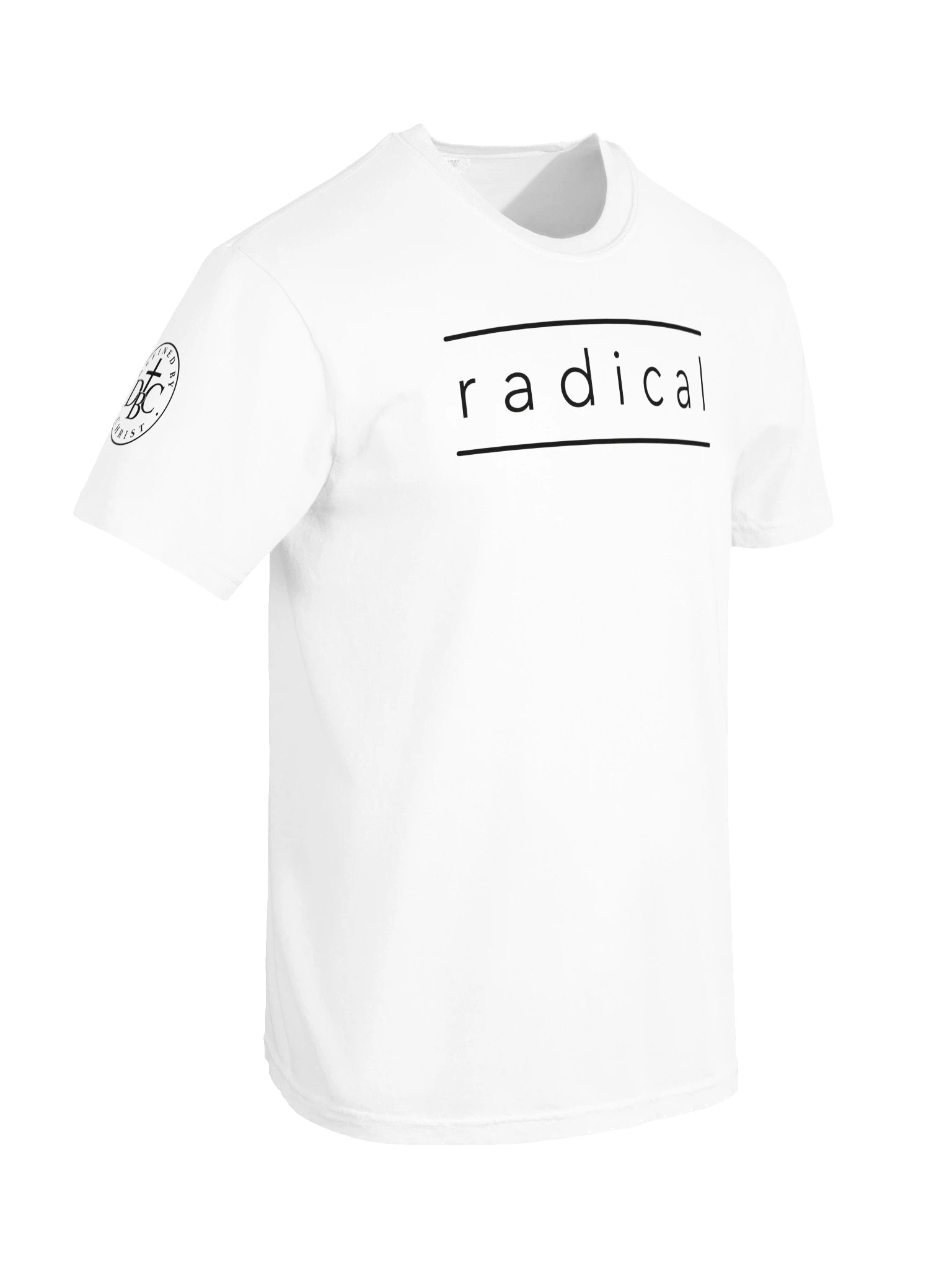 Biblical Truths: White Radical product image (6)