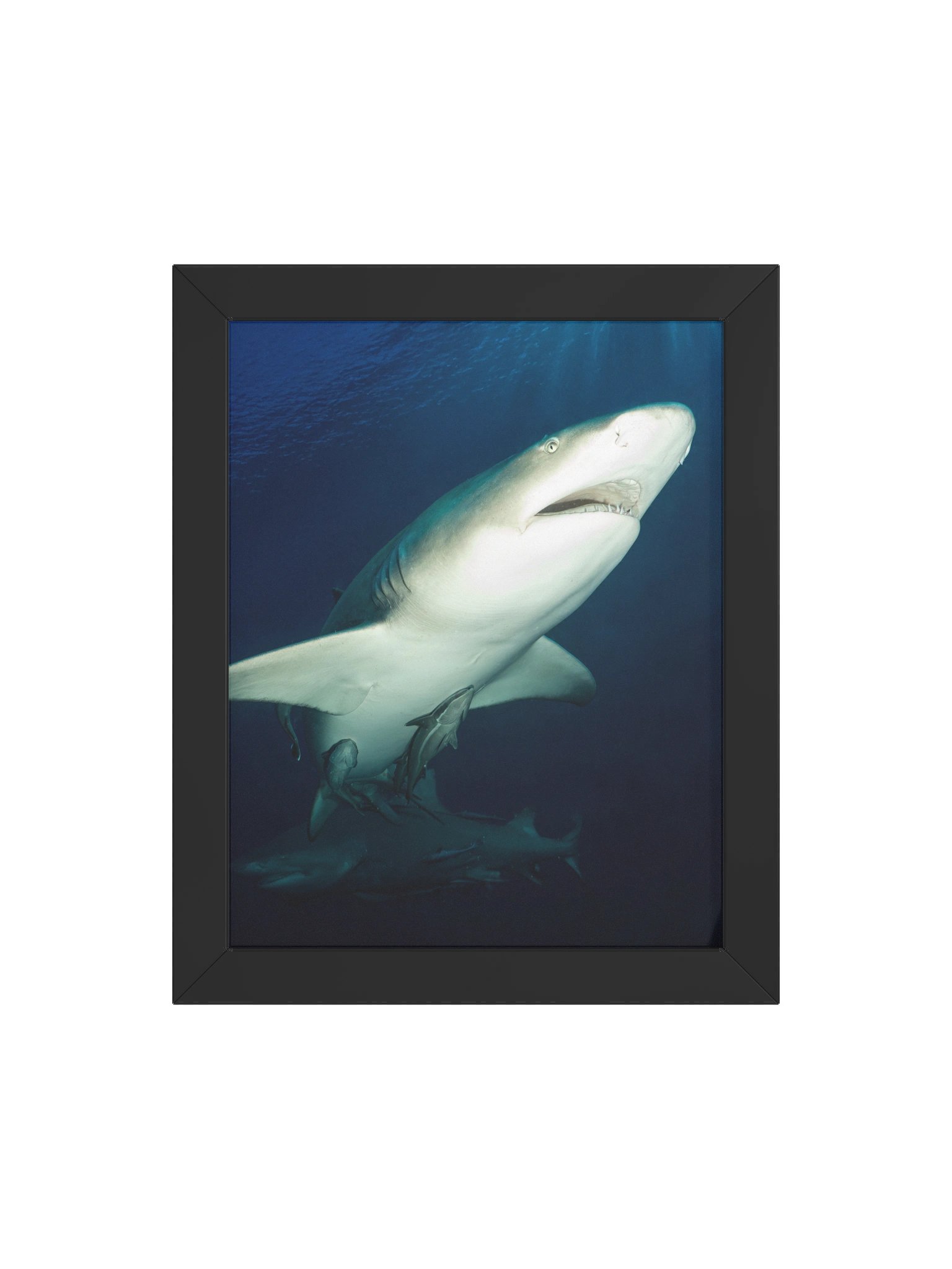 Upward Glide product image (20)