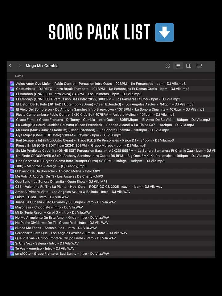 Mega Mix Cumbia – Song Pack product image (2)