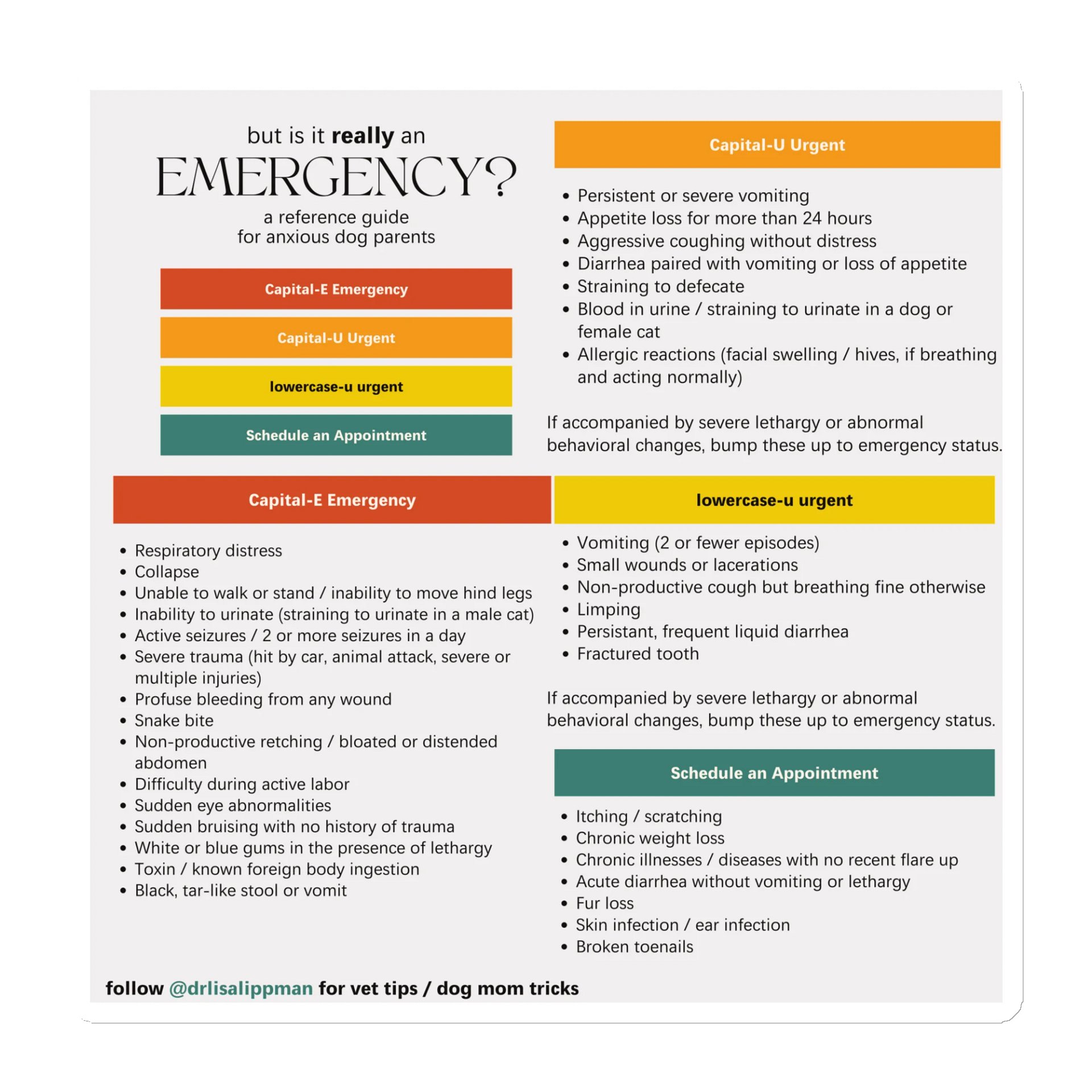 Emergency Urgency Pet Magnet - Bundle Edition product image (1)