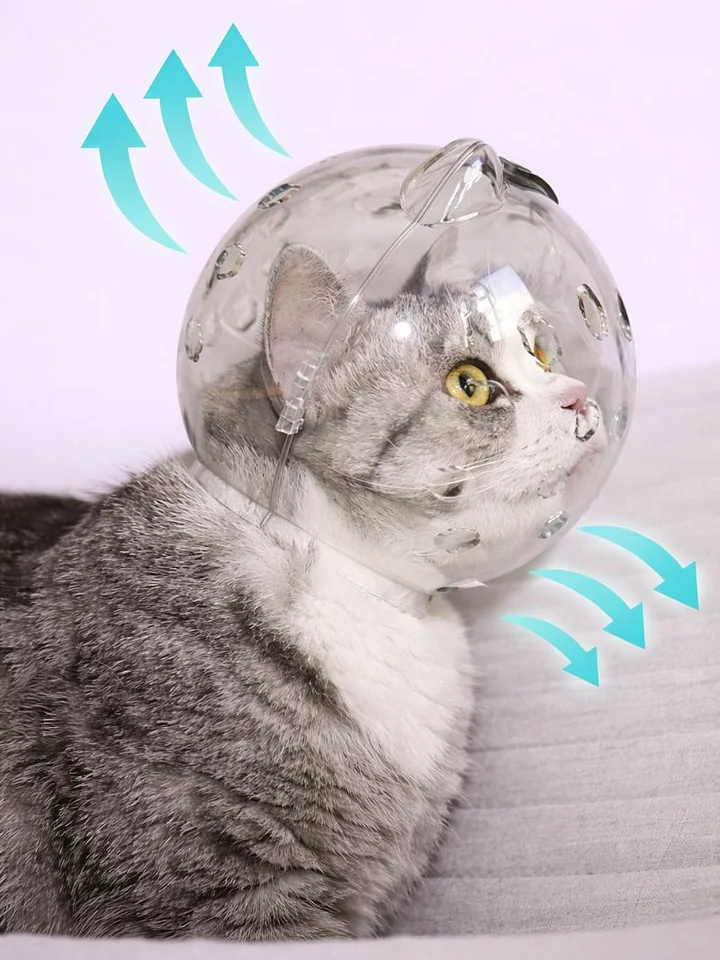 Cat Bubble Helmet and Paw Socks product image (2)
