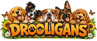 Drooligans