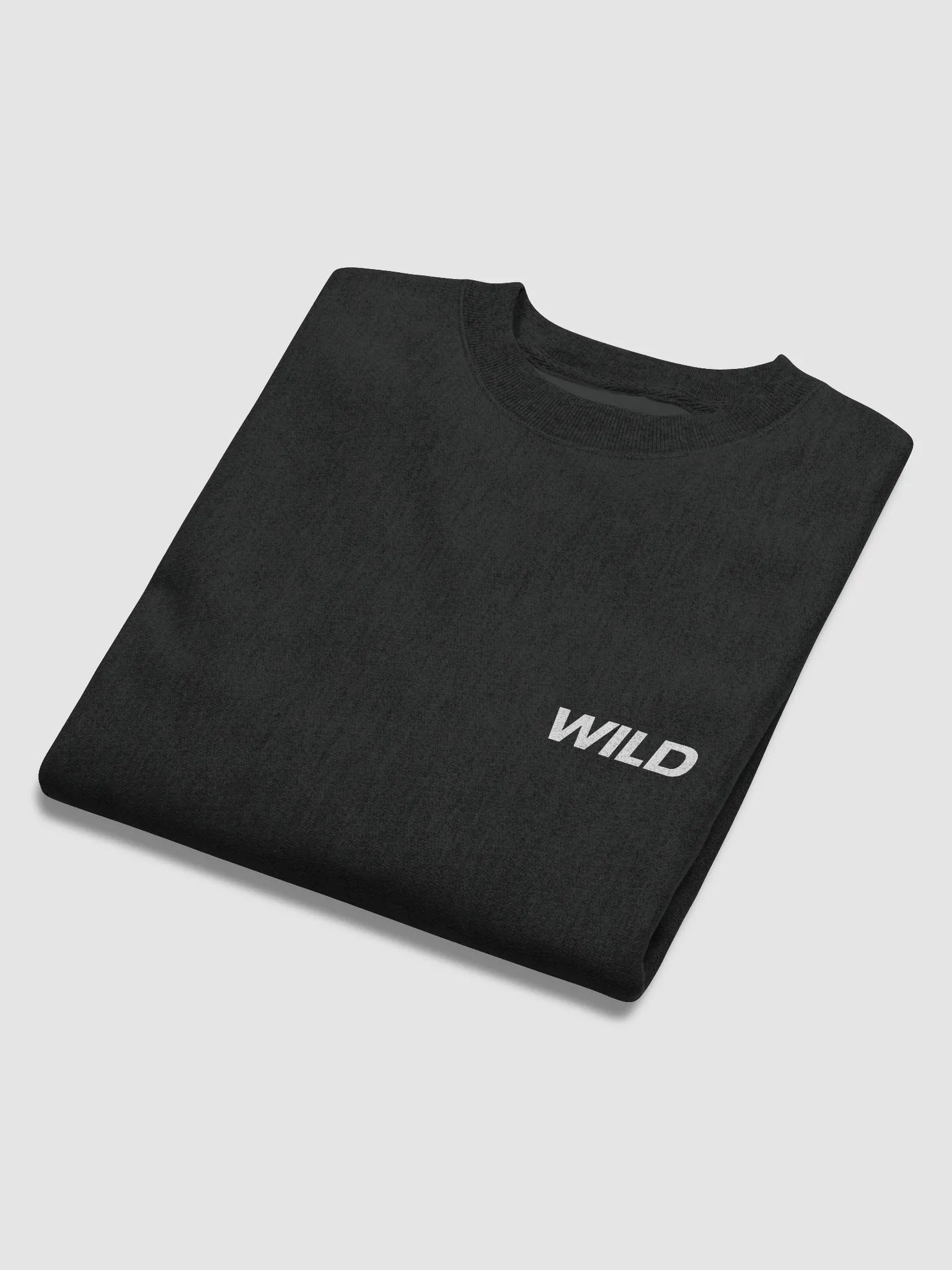 WILD ONES X Champion Crew Sweatshirt product image (6)