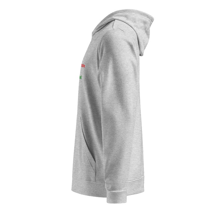 UFO Ultraconservative Family Oriented Hoodie product image (2)