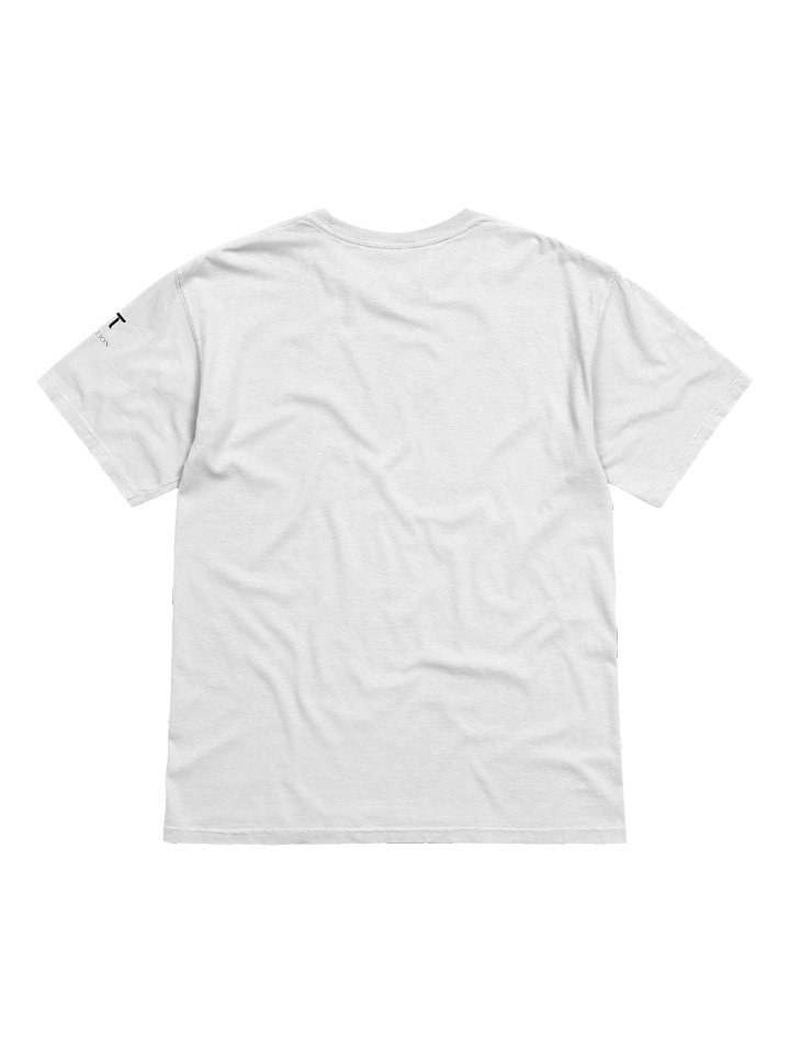 SN18 - Heavyweight T-Shirt (Embroidered) product image (2)