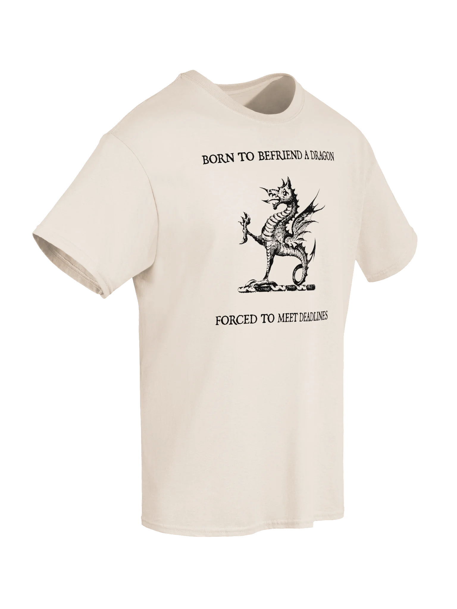 BORN TO BEFRIEND A DRAGON, FORCED TO MEET DEADLINES product image (56)