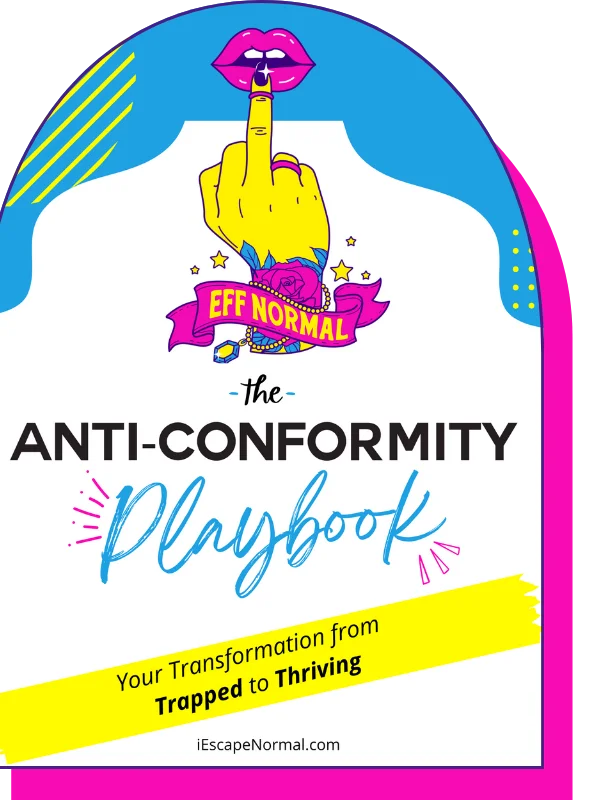 The Anti-Conformity Playbook product image (1)