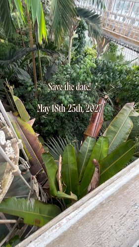 I’m so excited! 🤗  More details coming this week! 

#plantsofinstagram #plantschool #gardentour #planttour #houseplantcommunity