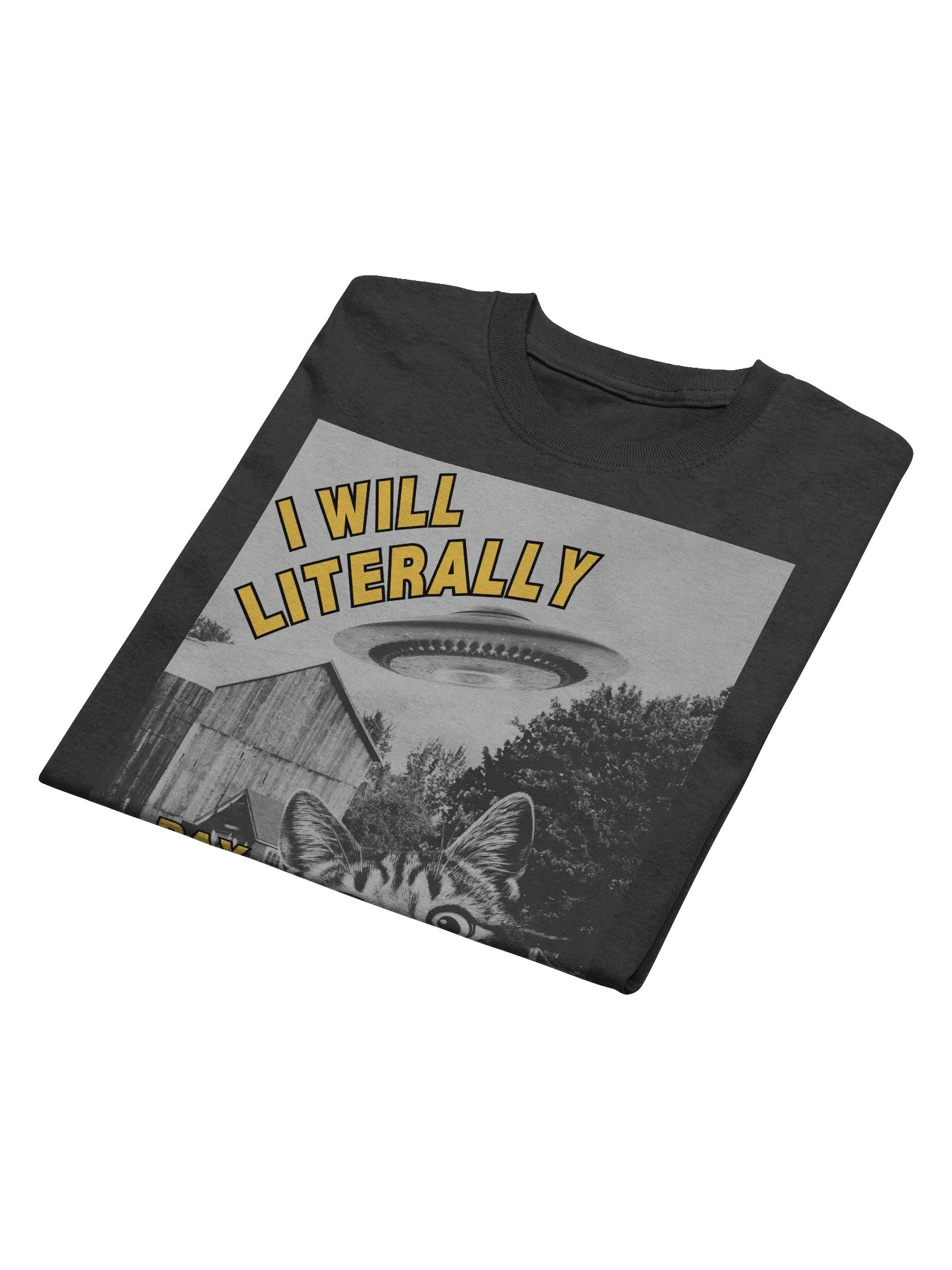 I Will Literally Pay You To Abduct Me T-Shirt product image (6)