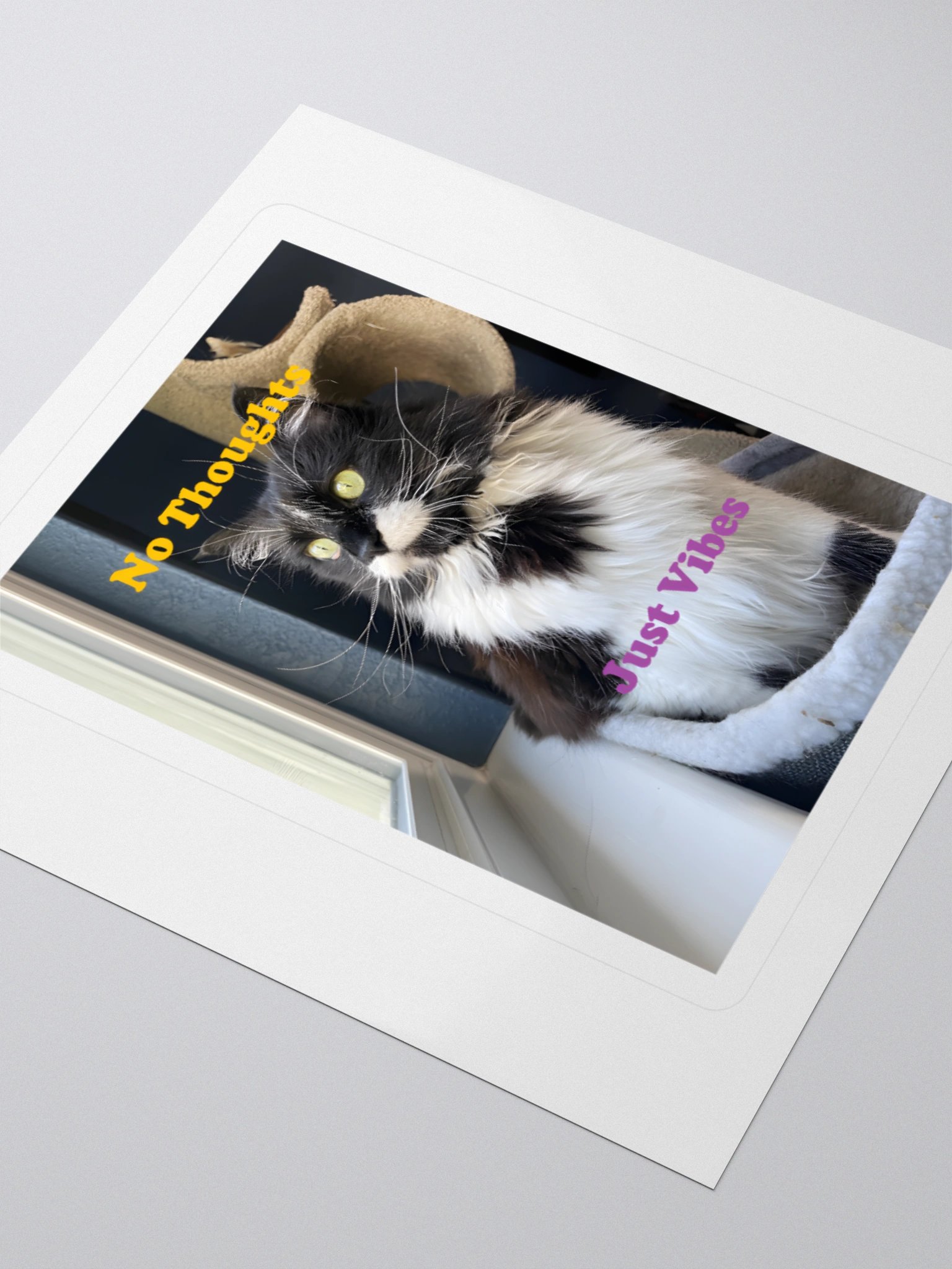 No Thoughts Sticker product image (9)